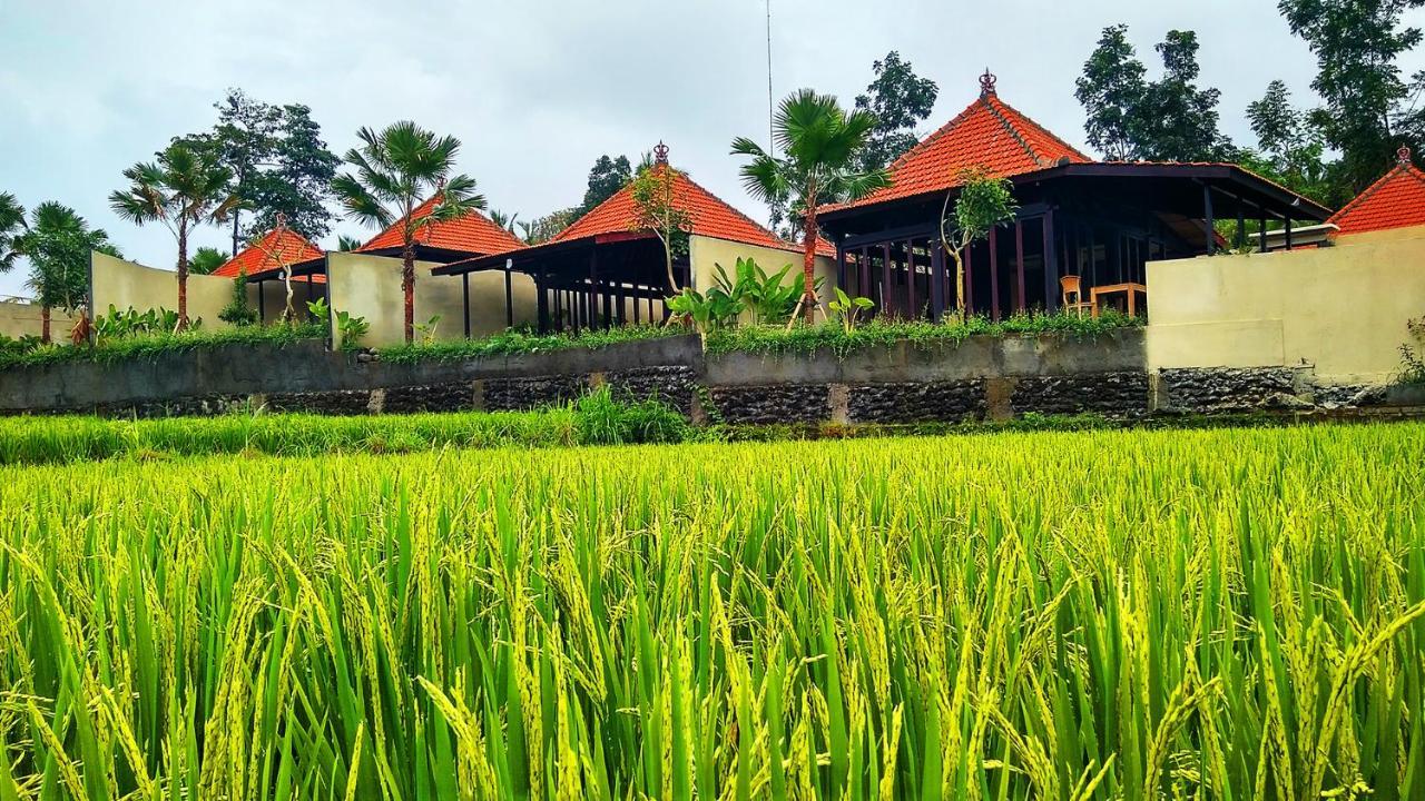 Vrindavan Ubud Villa Tegallalang  Zewnętrze zdjęcie