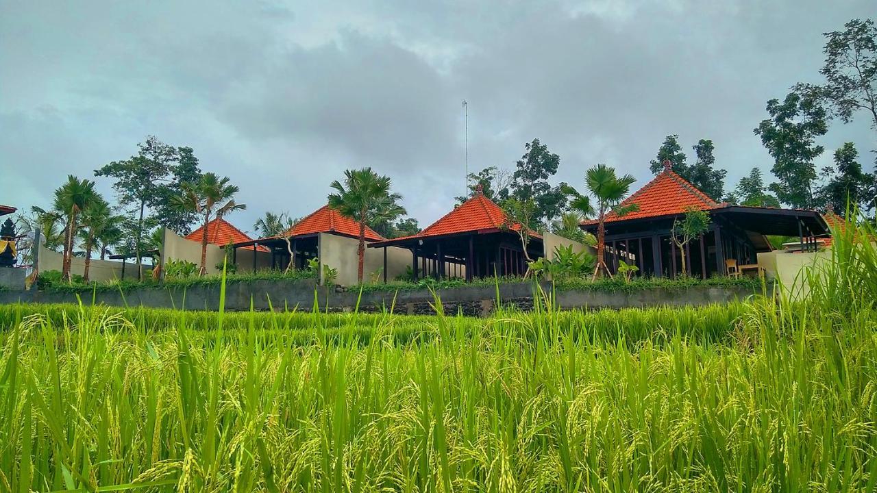 Vrindavan Ubud Villa Tegallalang  Zewnętrze zdjęcie