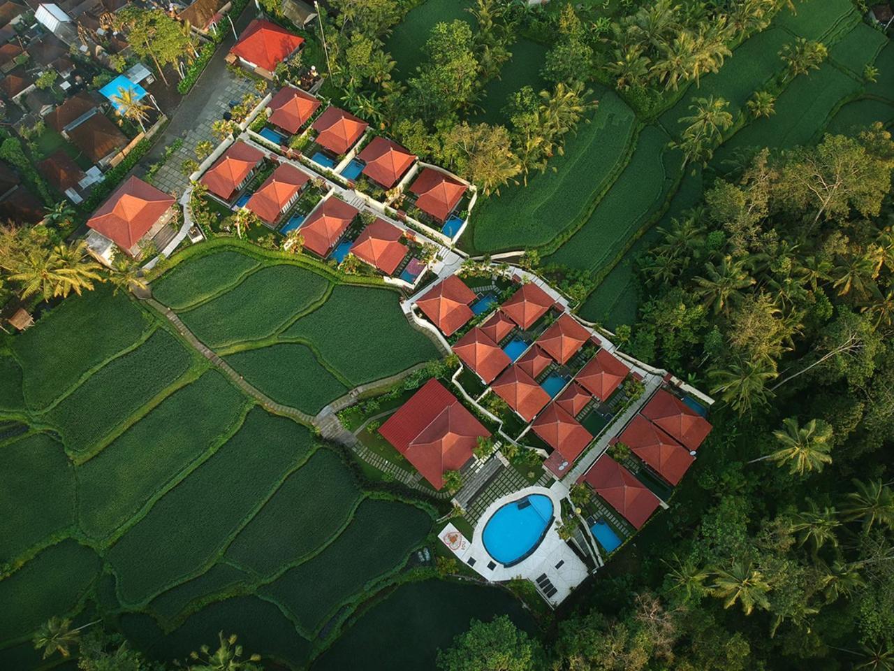 Vrindavan Ubud Villa Tegallalang  Zewnętrze zdjęcie