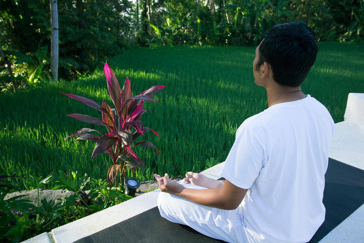 Vrindavan Ubud Villa Tegallalang  Zewnętrze zdjęcie